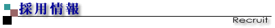 �̗p���