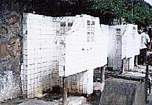 IN200007