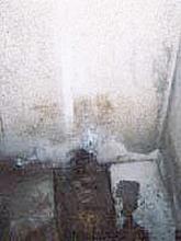 IN200010