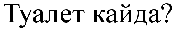 Tualet kayda?